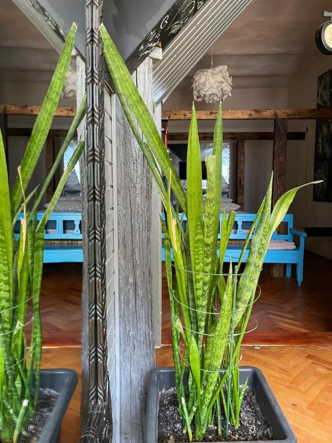 Apartamente A La Cluj Екстериор снимка